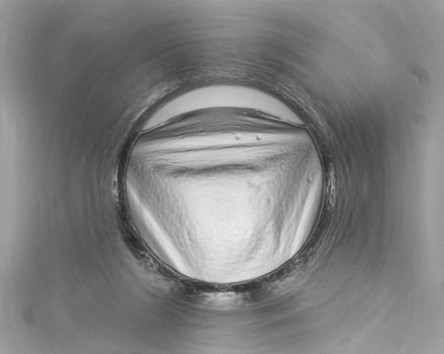 X0000115160212200911171308