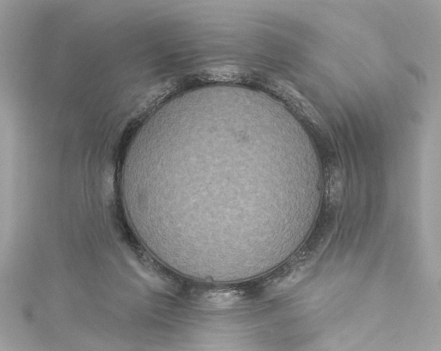 X0000115160213200911171308