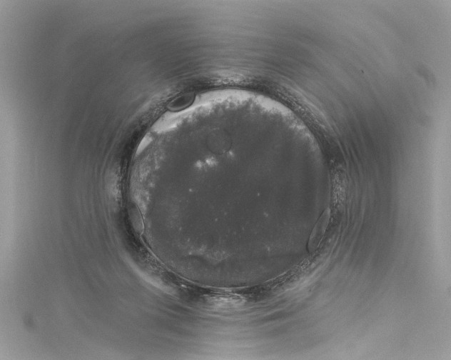 X0000115160215200911171308