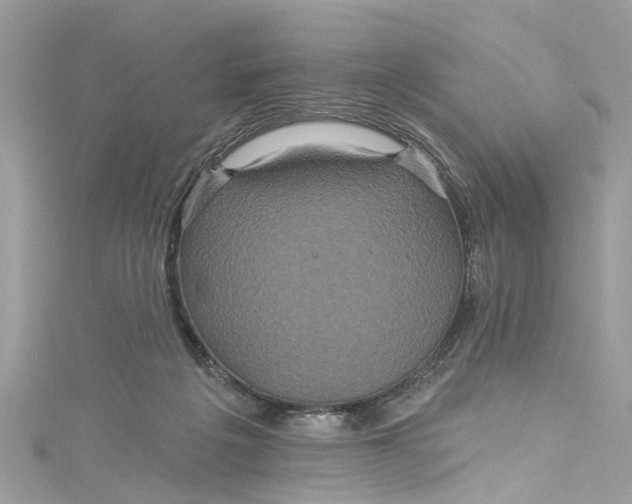 X0000115160217200911171308