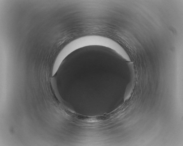 X0000115160219200911171308