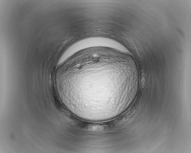 X0000115160220200911171308