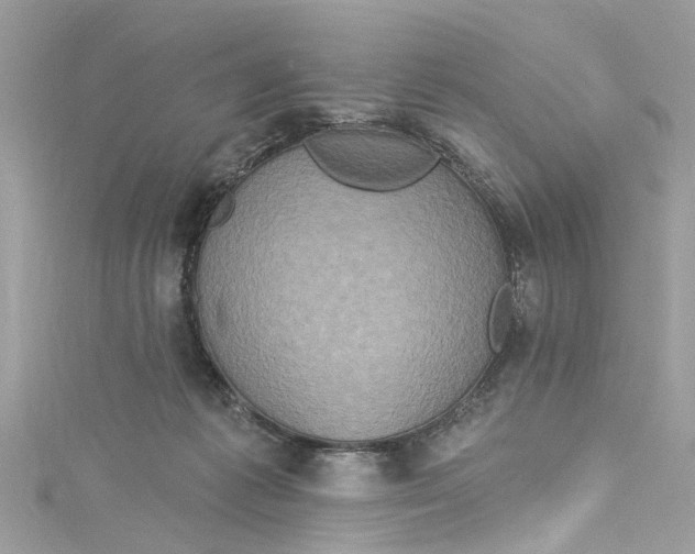 X0000115160221200911171308