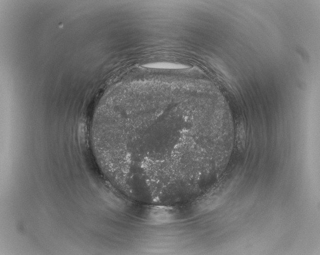 X0000115160222200911171308