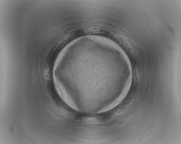 X0000115160224200911171308