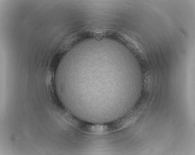 X0000115160225200911171308