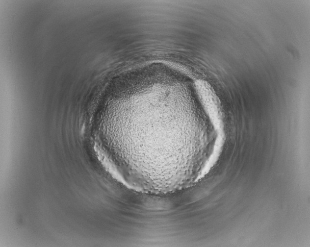 X0000115160230200911171308