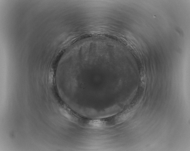 X0000115160231200911171308