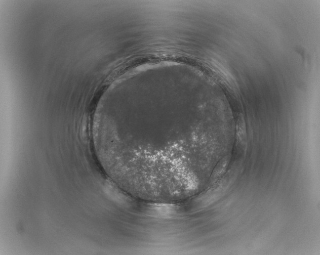 X0000115160233200911171308