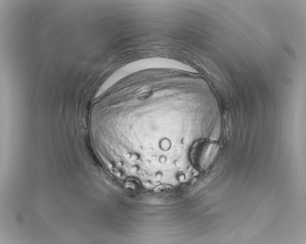 X0000115160236200911171308