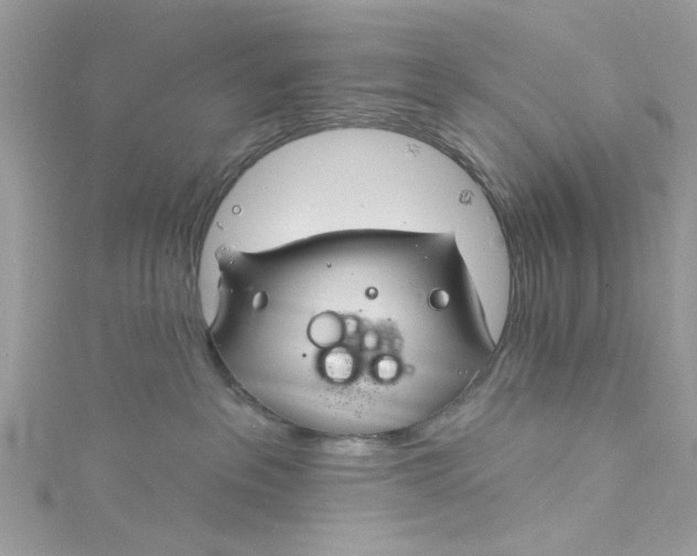 X0000115160237200911171308