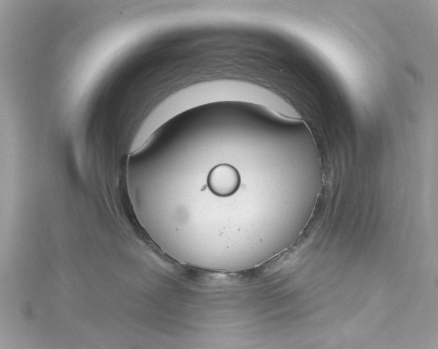 X0000115160239200911171308