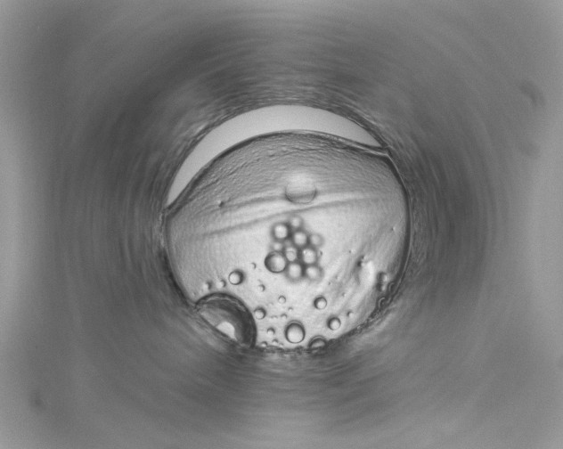 X0000115160240200911171308