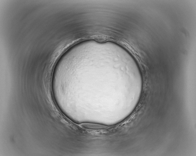 X0000115160241200911171307