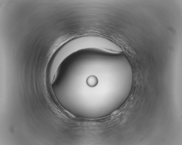 X0000115160242200911171307