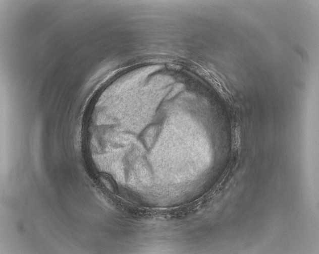 X0000115160243200911171307