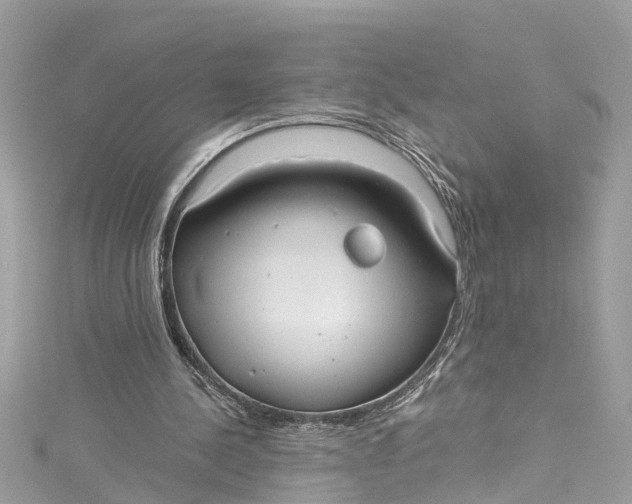 X0000115160244200911171307