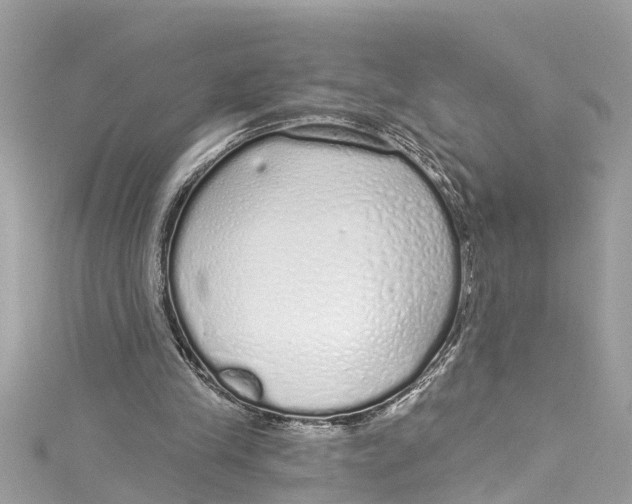 X0000115160245200911171307