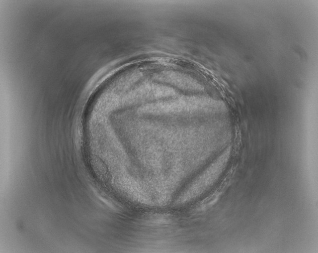 X0000115160247200911171307