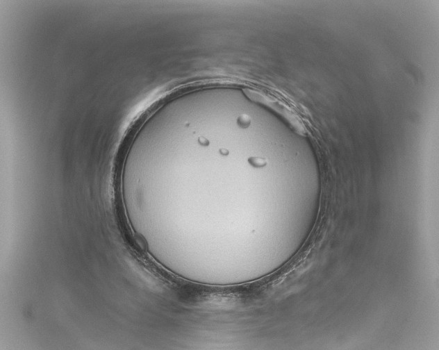 X0000115160248200911171307