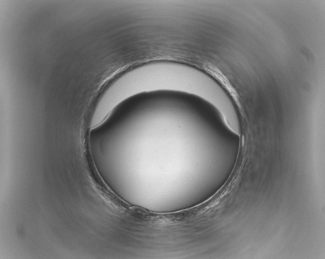 X0000115160249200911171307