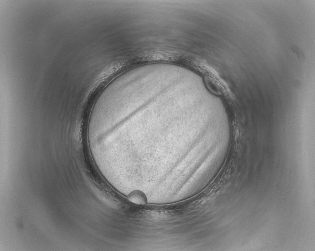 X0000115160250200911171307