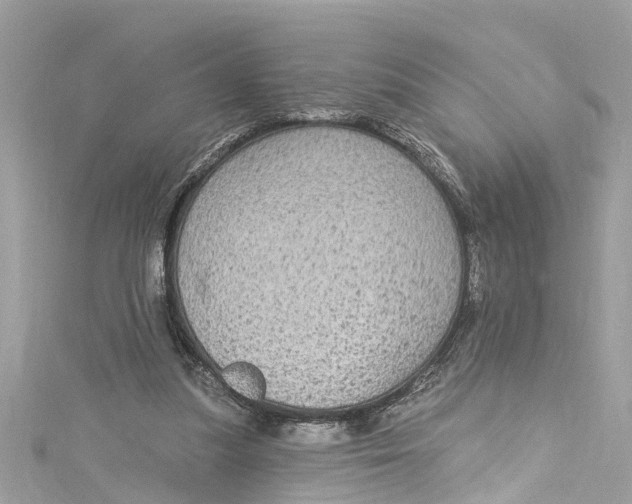 X0000115160251200911171307