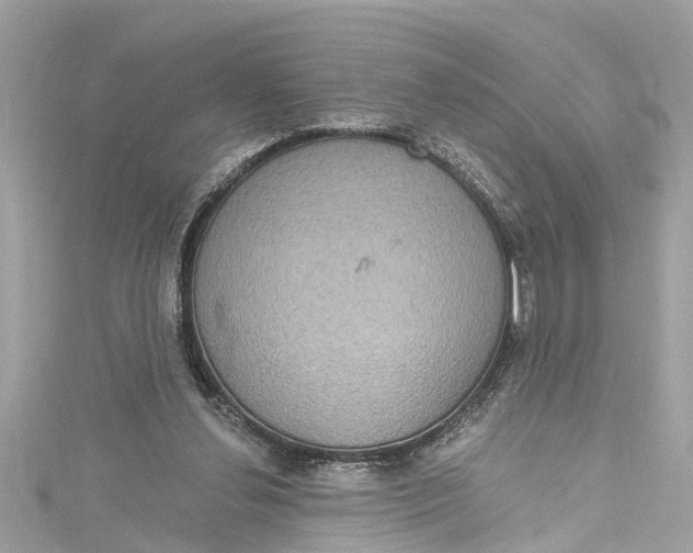 X0000115160252200911171307