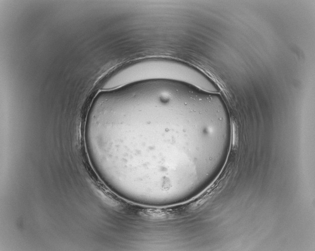 X0000115160253200911171307