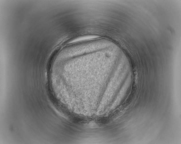 X0000115160254200911171307