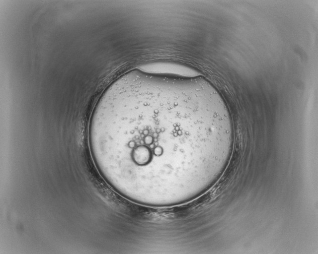 X0000115160255200911171307