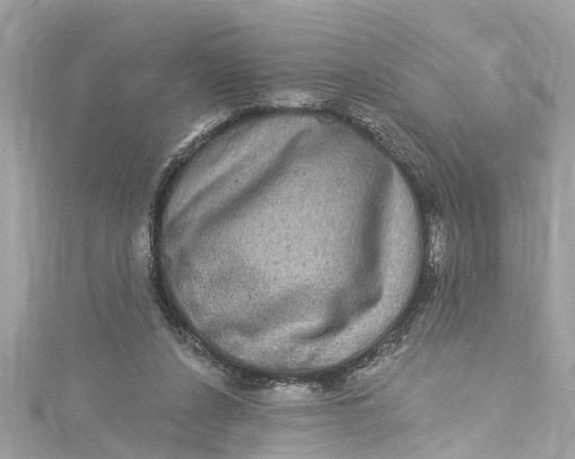 X0000115160256200911171307