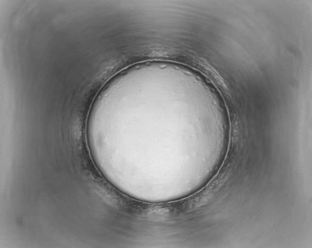 X0000115160257200911171307