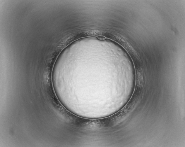 X0000115160259200911171307