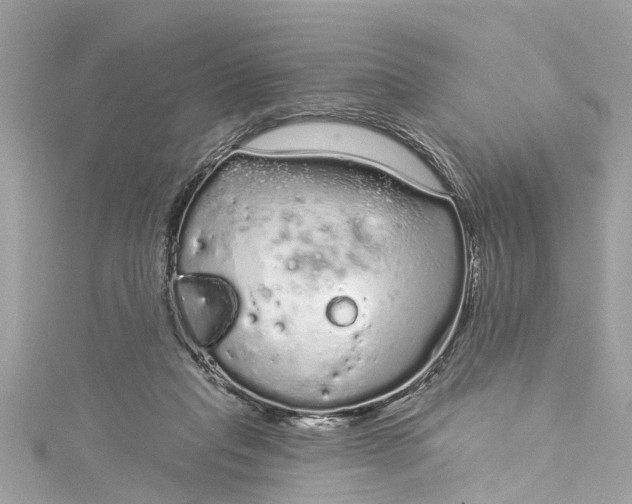 X0000115160261200911171307