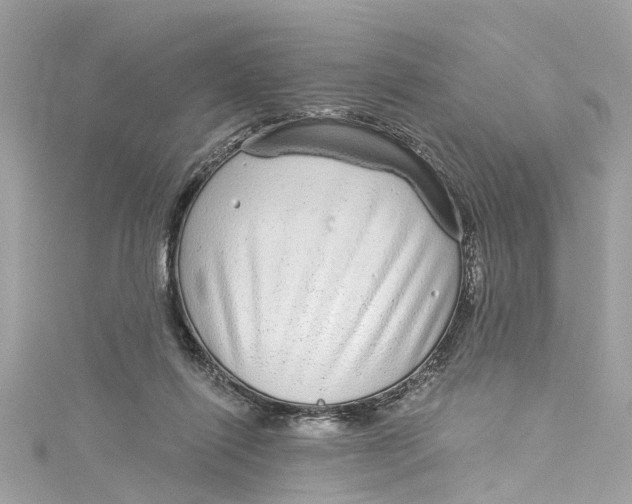 X0000115160262200911171307