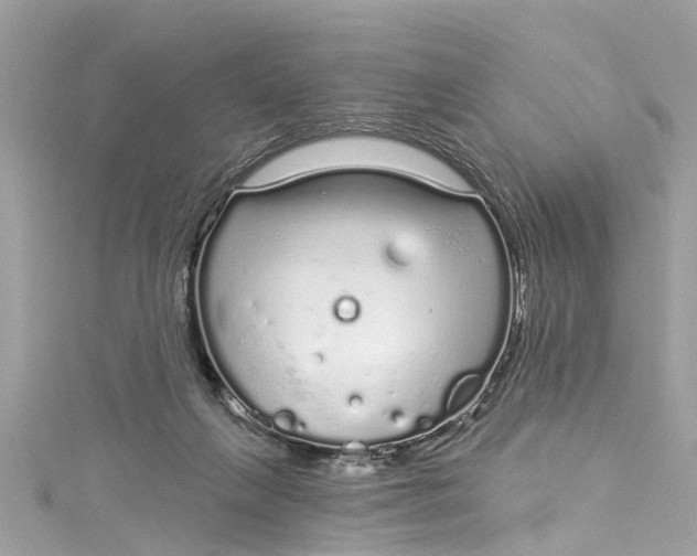 X0000115160263200911171307