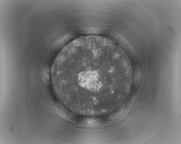 X0000115160264200911171307