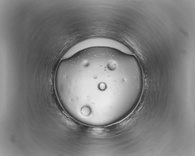 X0000115160265200911171307