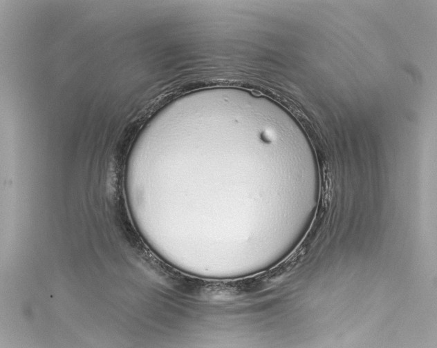 X0000115160266200911171307