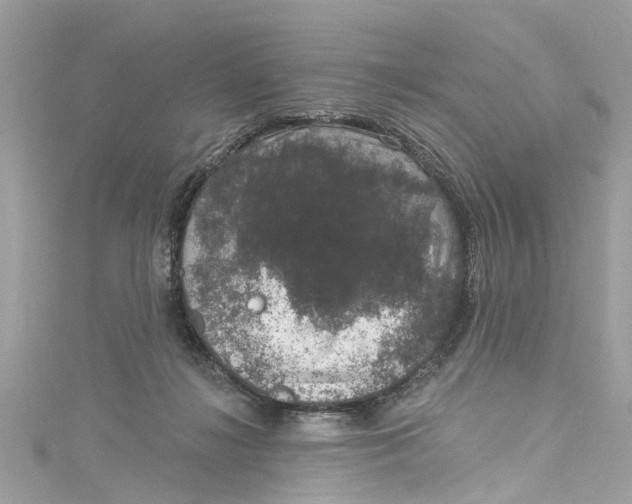 X0000115160268200911171307