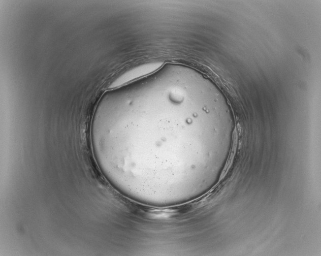 X0000115160269200911171307