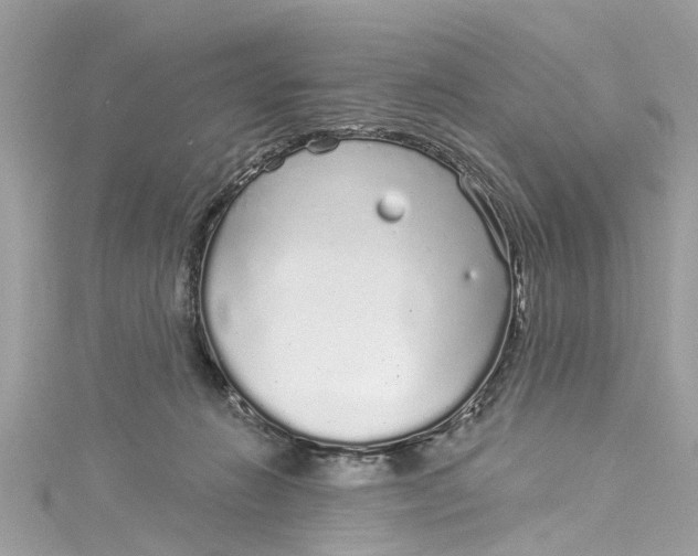 X0000115160270200911171307