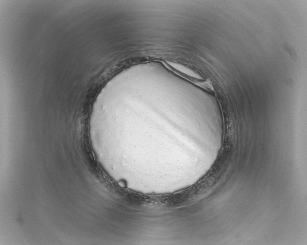 X0000115160271200911171307