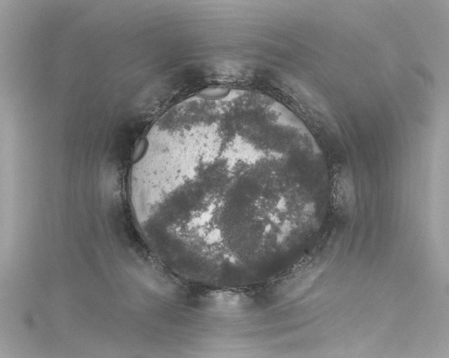 X0000115160272200911171307