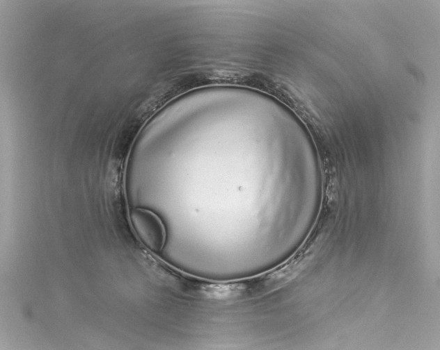 X0000115160273200911171307