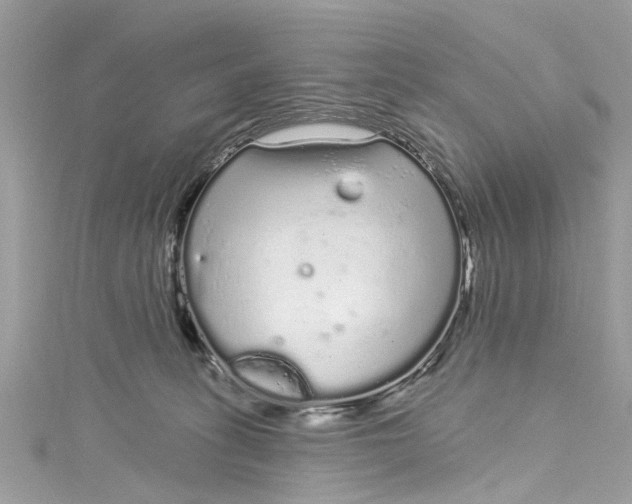 X0000115160275200911171307