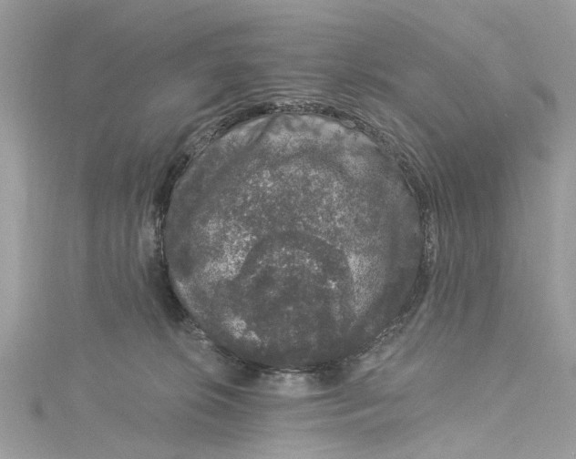 X0000115160276200911171307