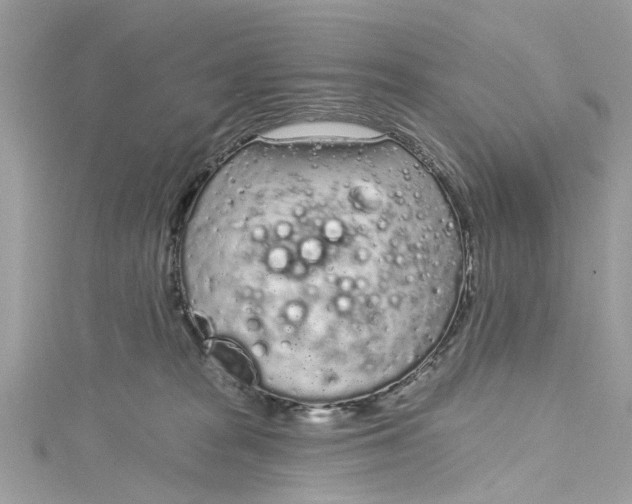 X0000115160277200911171307