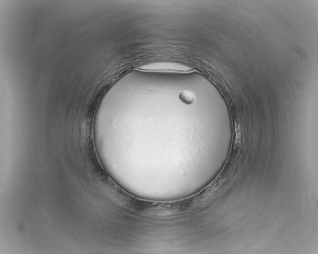 X0000115160278200911171307